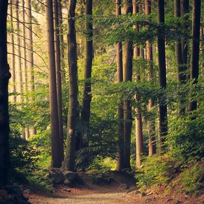 leyu乐鱼·体育手机app下载