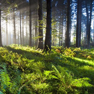 半岛彩票官方截图