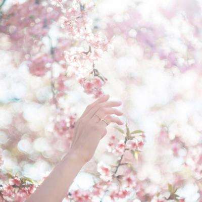 bob半岛在线登录